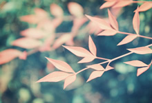 豪宅与美景共舞，上海后花园诗意生活